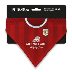 Crewe Alexandra 23/24 Home Pet Bandana