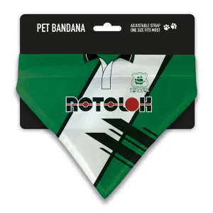 Plymouth Argyle 1996 Pet Bandana