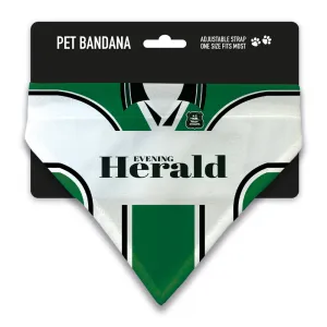 Plymouth Argyle 1999 Away Pet Bandana