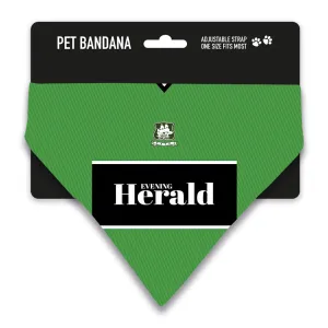 Plymouth Argyle 1999 Home Pet Bandana